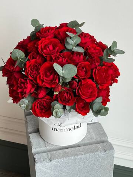 собран сегодня #03