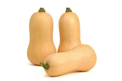 Миелуна F1 семена тыквы (Sakata / Саката)