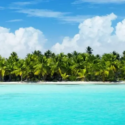 Отдушка TFC - Карибский тик (Caribbean Teakwood)