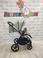 Коляска модульная Rant Teo Sage
