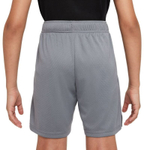ОДЕЖДА ДЛЯ ТЕННИСА Мальчики, Шорты NIKE DRI FIT SHORT .