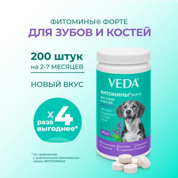 Витамины Фитомины Форте для зубов и костей собак, на основе растительных, минеральных и биоактивных веществ, 200 таблеток