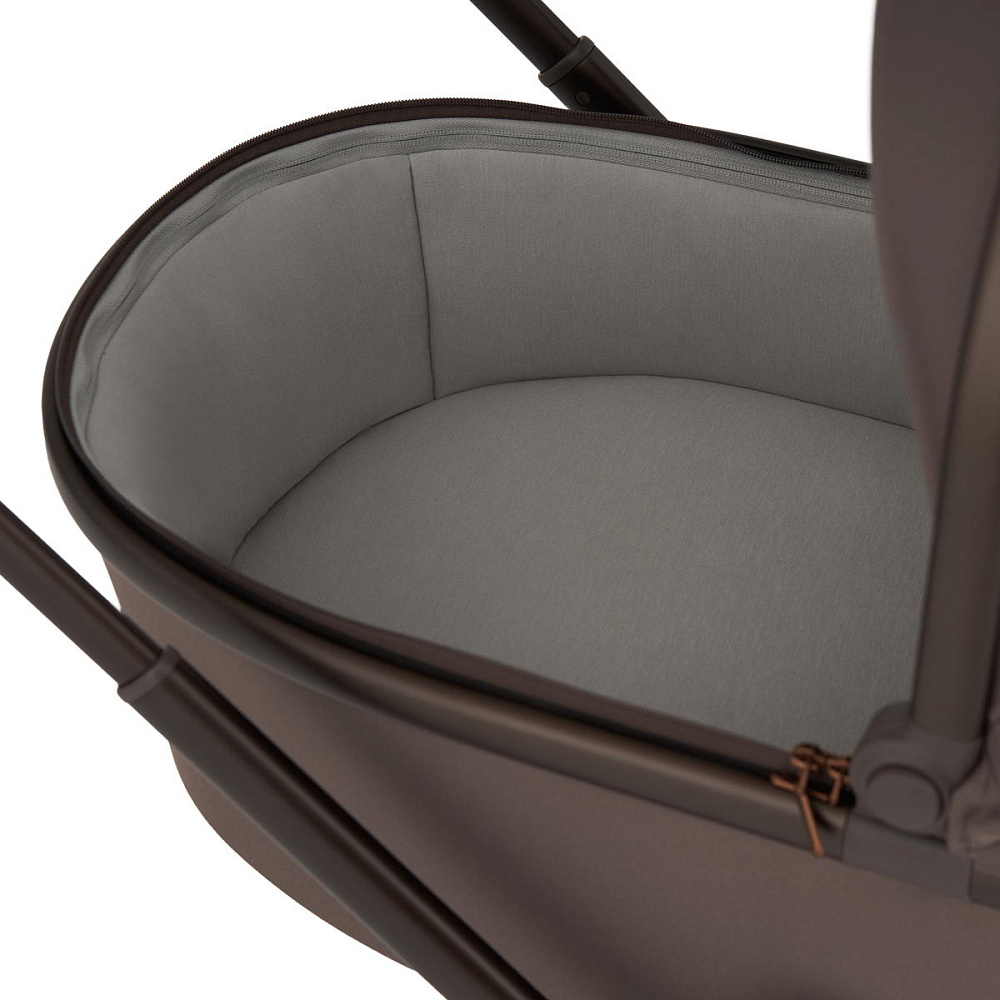 Детская коляска Anex Flo 2 в 1 Browny
