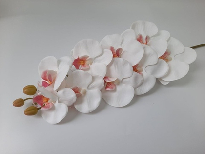 Орхидея "Перфект" 12