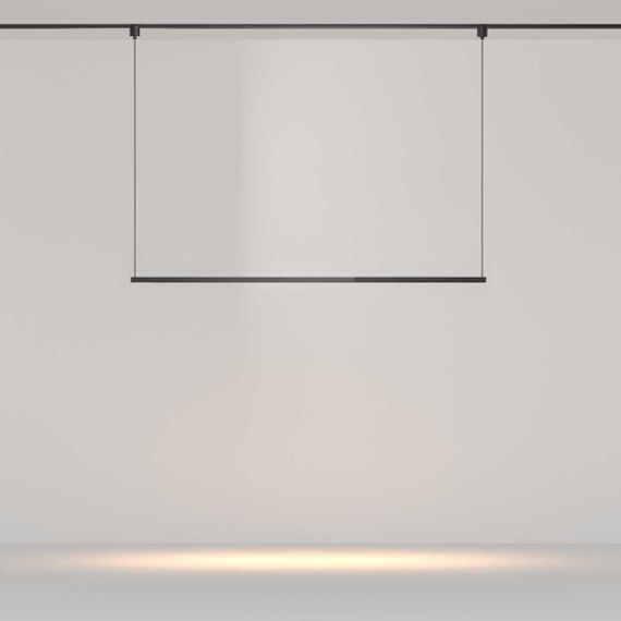 Трековый подвесной светильник Maytoni Technical TR169-1-52W3K-M-B