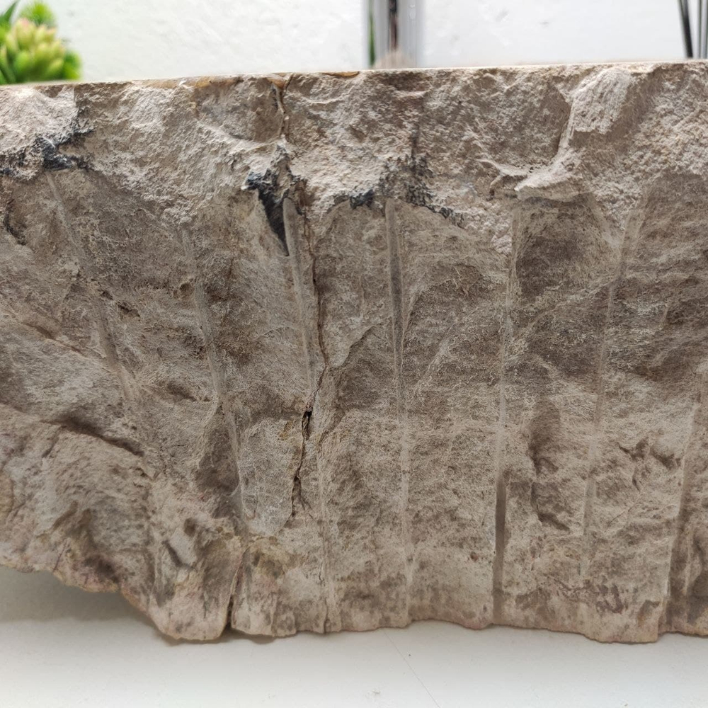 Раковина из окаменелого дерева FossilBasin OD-61258 48*40*17