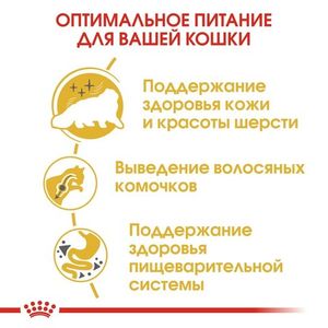 Сухой корм Royal Canin Persian Adult для взрослых персидских кошек от 12 месяцев