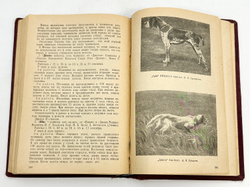 Полвека работы с легавой собакой. 1887-1937. Тираж 5200 э.  Ленинград. Ленингр. 1938г.