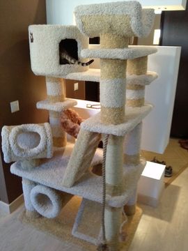 Домик для кошки Д-104