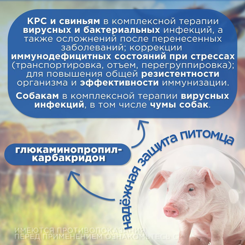 Противовирусный, иммуномодулирующий и противовоспалительный инъекционный раствор для животных, Анандин 10%, АВЗ, 100 мл.