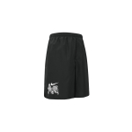 Шорты Nike, DO0772-010