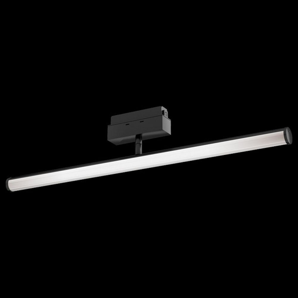 Светильник на штанге Maytoni Track lamps 3 TR026-2-10B3K