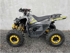 Квадроцикл FXMOTO Tank 125