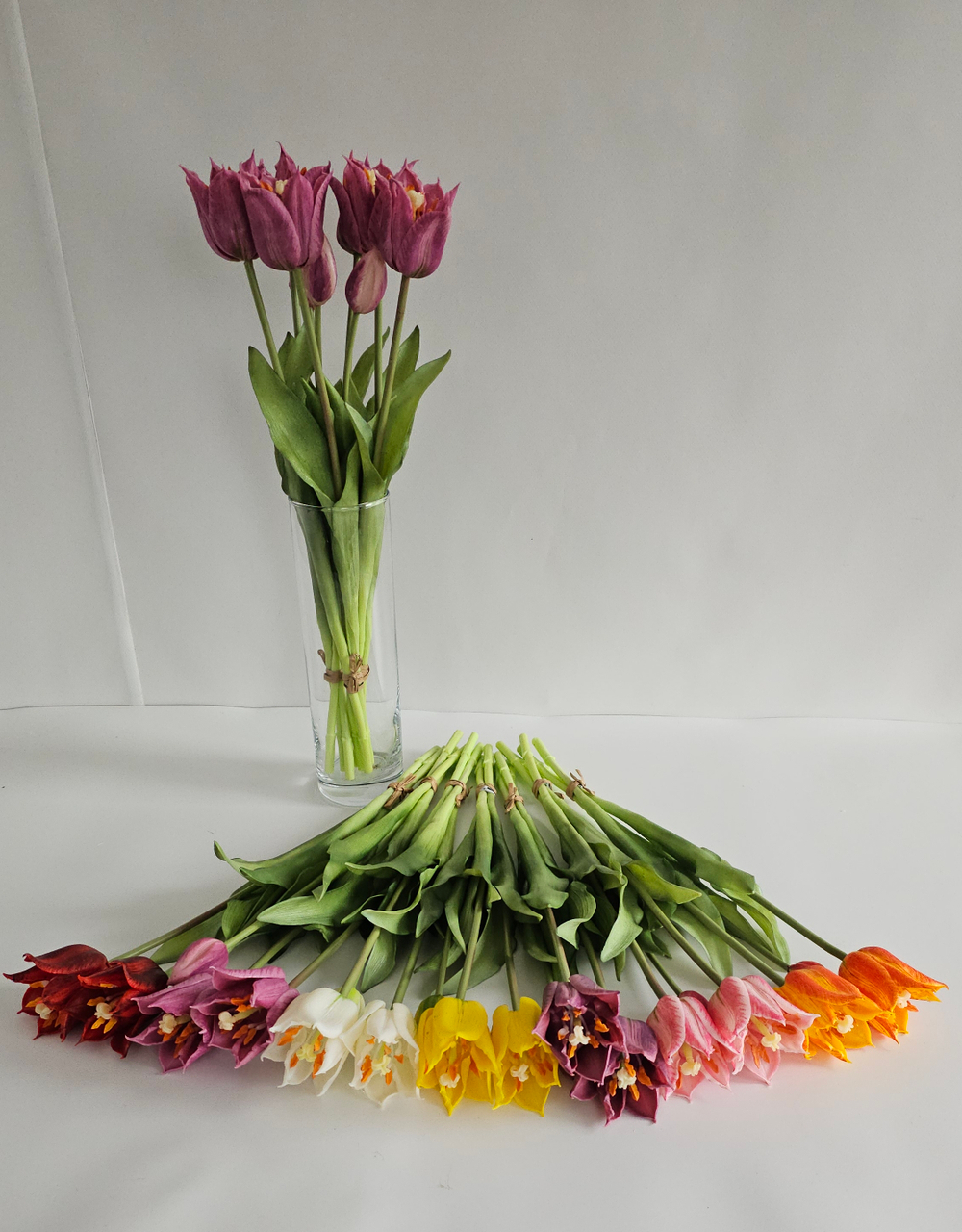 Тюльпаны лилиецветные / Арт 2523