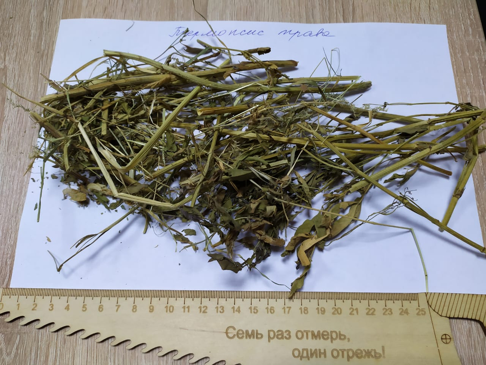 Термопсис ланцетный трава рез 5-10 мм