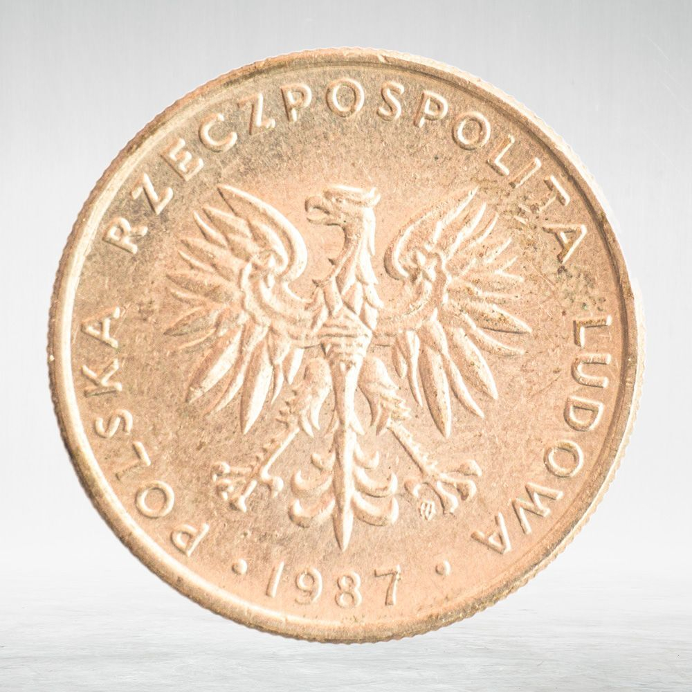 Poland, 20 Zlotys, 1987, VF