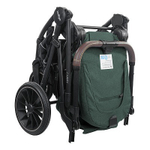 Коляска 2 в 1 Indigo Carry  (арт. H31)