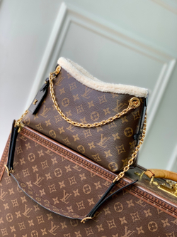 Louis Vuitton CarryAll BB