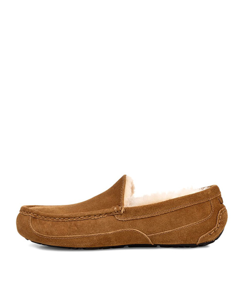 ASCOT MENS chestnut