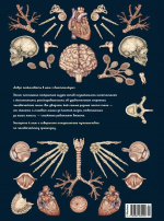 Анатомикум