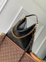 Louis Vuitton Multipass