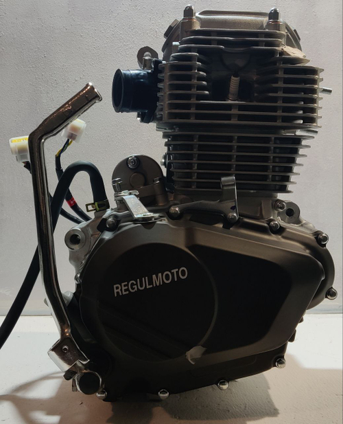 Двигатель ZS175-FMM 300см3 мотоцикл REGULMOTO SPORT 003
