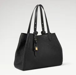 Сумка Louis Vuitton All In One PM