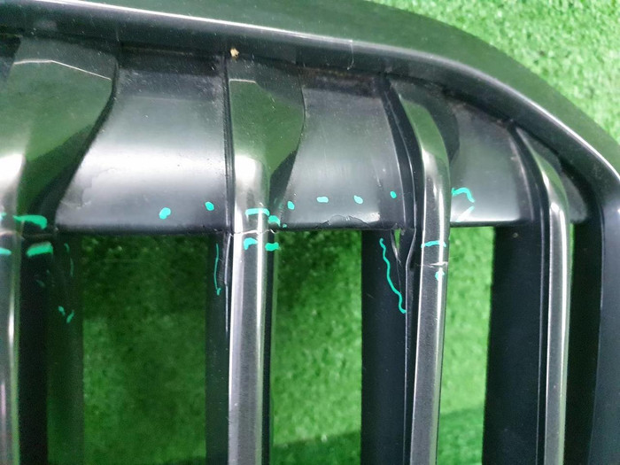 Решетка радиатора BMW X7 G07 (2019-2022)