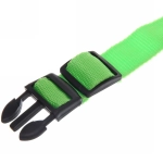 Ошейник с подсветкой и кольцом для жетона для малых пород собак «Бро видно», цвет зелёный, размер S - 2,5*30см (лейбл)