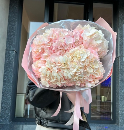 7 гортензий Колумбианка