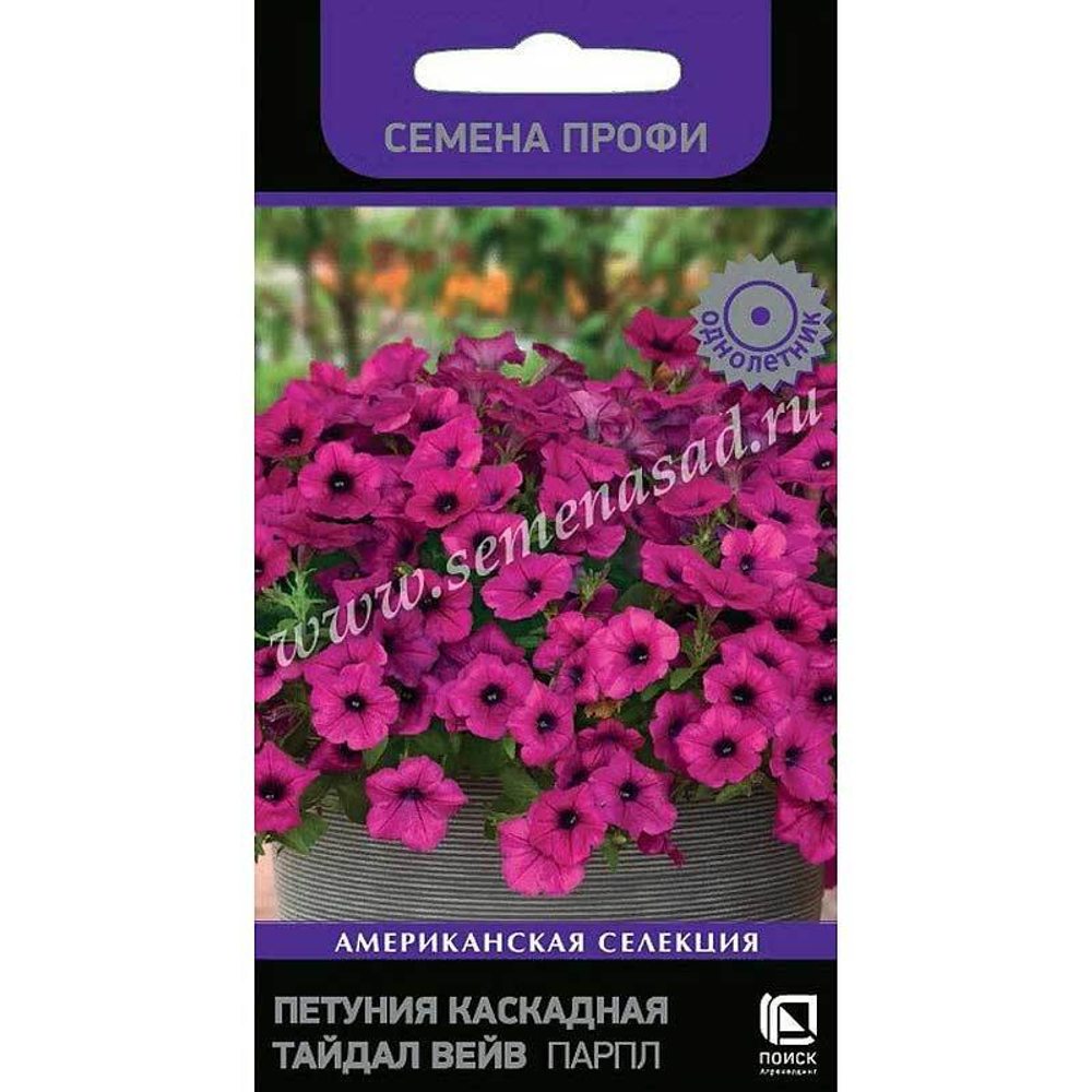 Петуния Тайдал Вейв Парпл Поиск Ц