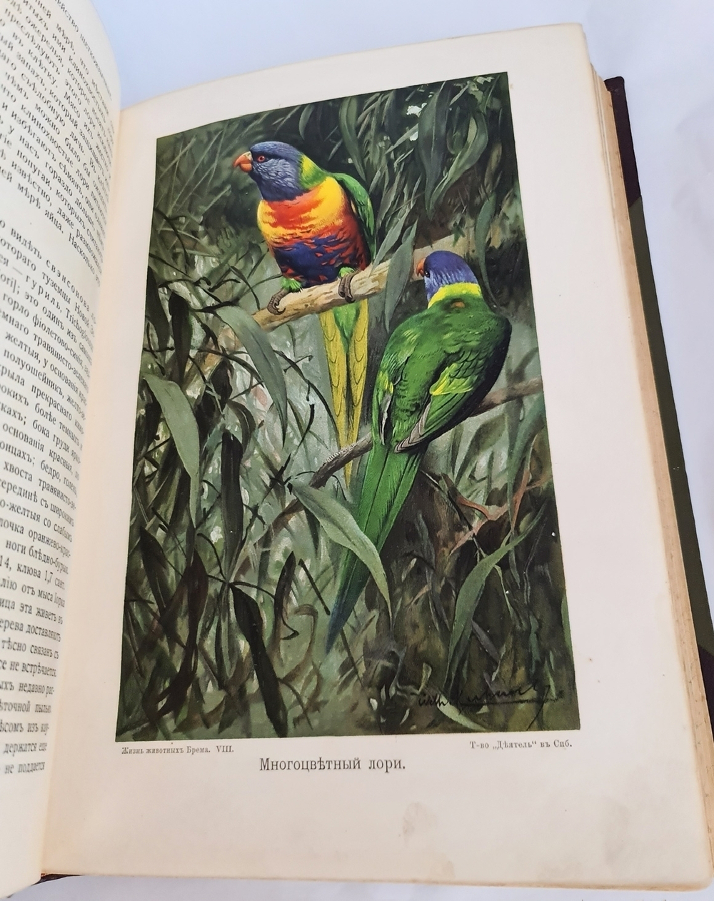 "Жизнь животных (в 7-ми томах)". А.Э. Брэм. 1914г.