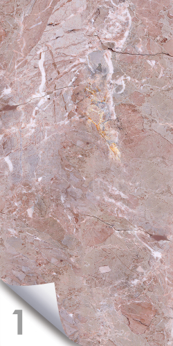 Ветка Сакуры