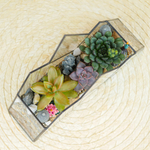 Готовый флорариум с суккулентами Горы "Грёзы востока"