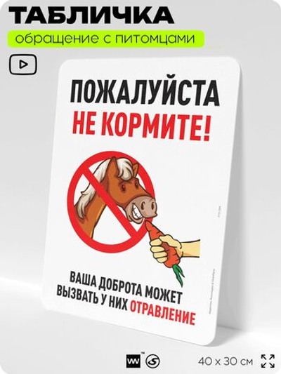 Табличка "Пожалуйста, не кормите лошадь" на дверь и забор, для конюшни, фермы, деревни, 40х30 см, Silver Plane x Айдентика Технолоджи