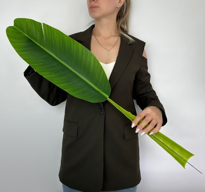 Лист банана темный крупный / Арт 9051