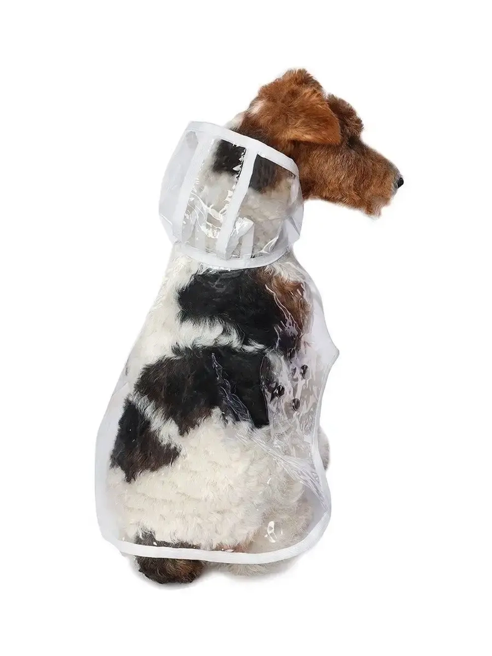 Дождевик для собак мелких средних пород