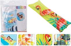 Dəniz şarı \ Плавательное кольцо \ Swimming Rings flamingo 183x69 sm