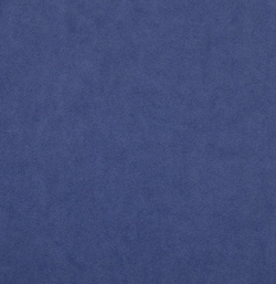 Микровелюр Бэст 38