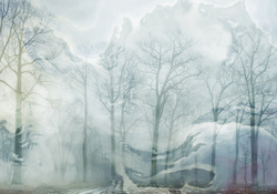 Коллекция ARBRE