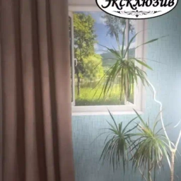 Wildberries вайлбдерриз