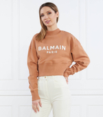 Худи Balmain - коричневый(AF0JO040 BB02)