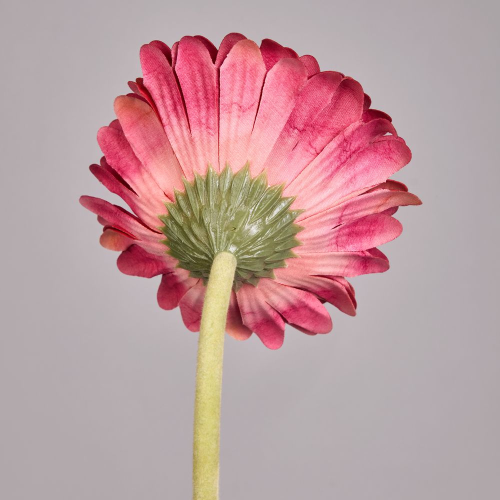 ЦВЕТОК ИСКУССТВЕННЫЙ "ГЕРБЕРА" ВЫСОТА=61СМ. (МАЛ=24 ШТ/КОР=96ШТ.)