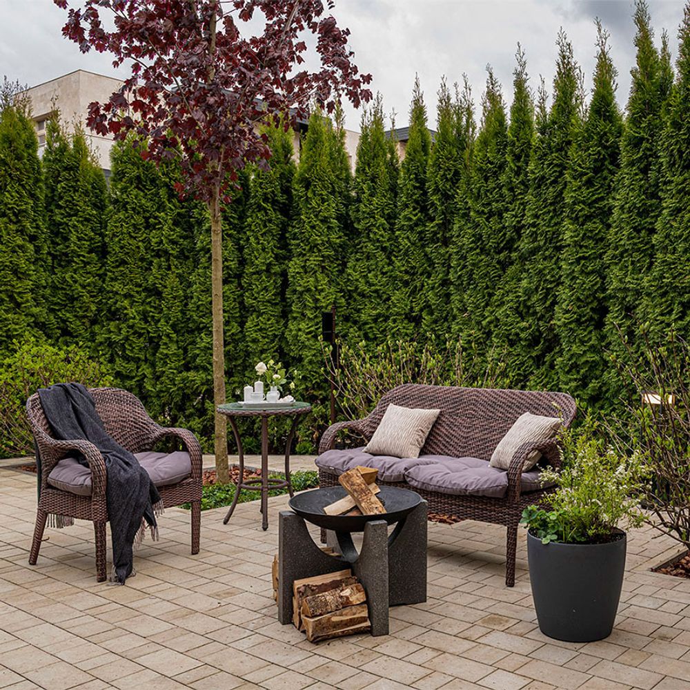 Костровая чаша S-серия D 60 Чугун