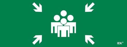 Этикетка самоклеящаяся 350х130мм "Место сбора" IEK LPC10-1-35-13-MSTS