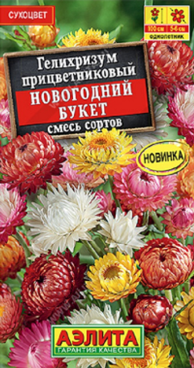 Гелихризум Новогодний букет, смесь сортов