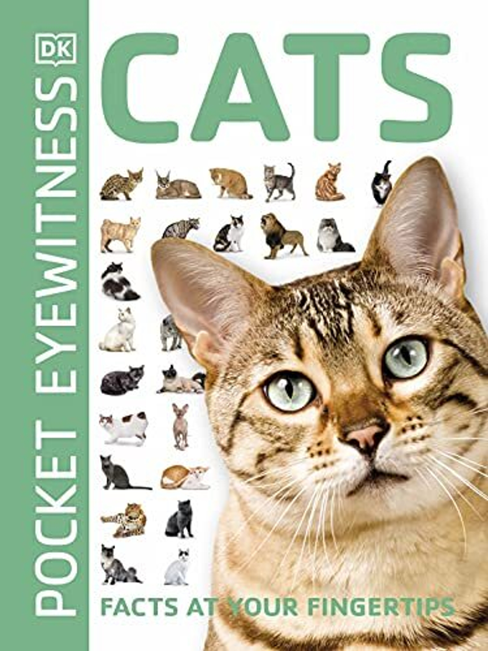Cats (Pocket Eyewitness)