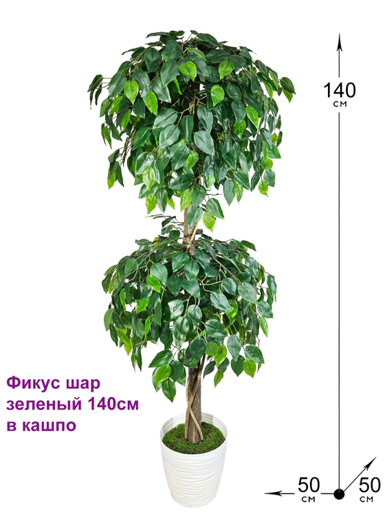 Фикус шар зеленый 140см в кашпо