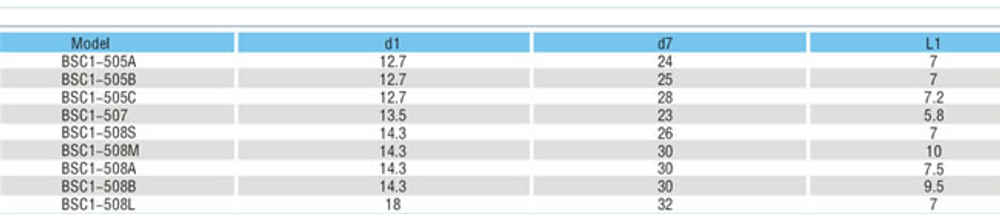 BSC1(CB)