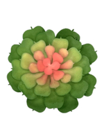 Суккулент 108 зеленый